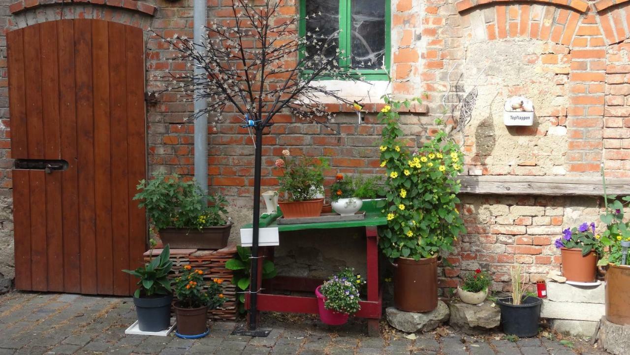 Pension Und Gaestehaus Paffrath Grossbrembach 外观 照片